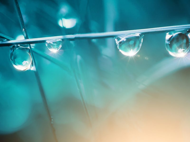Aquaporiner er naturens måde at rense vand